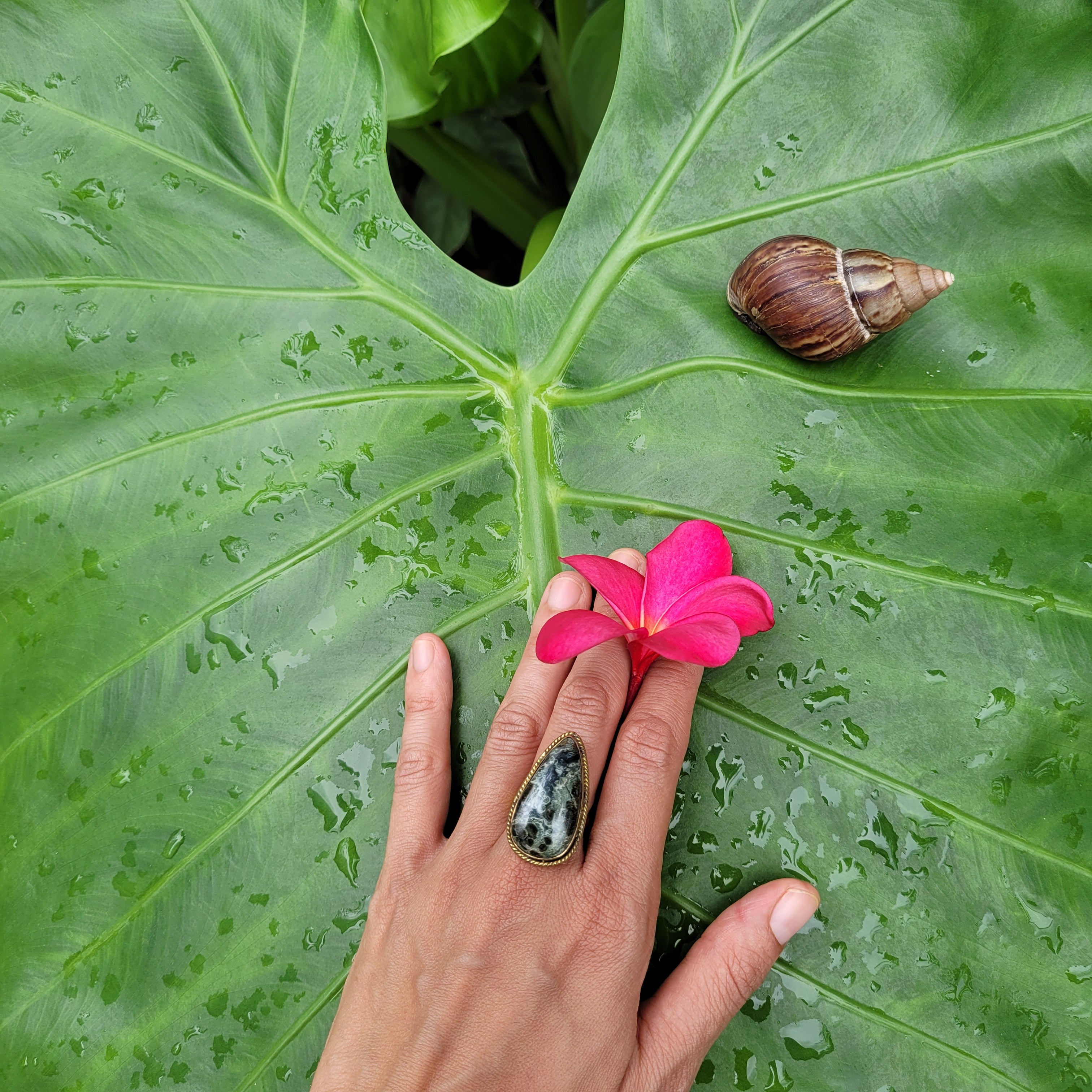 Brass Statement Ring Kambaba Jasper KAM02/Green Stromatolite Jasper/ Crocodile Jasper
