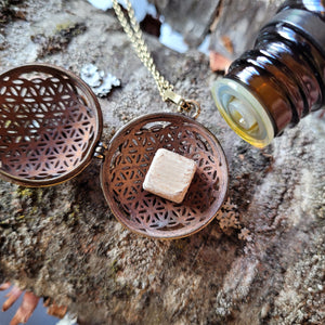 Harmony Ball Pendant Diffuser Flower of Life Vesica