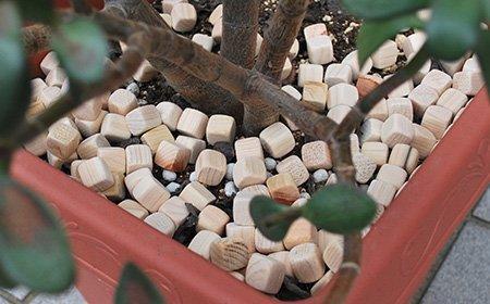 Hinoki Wood