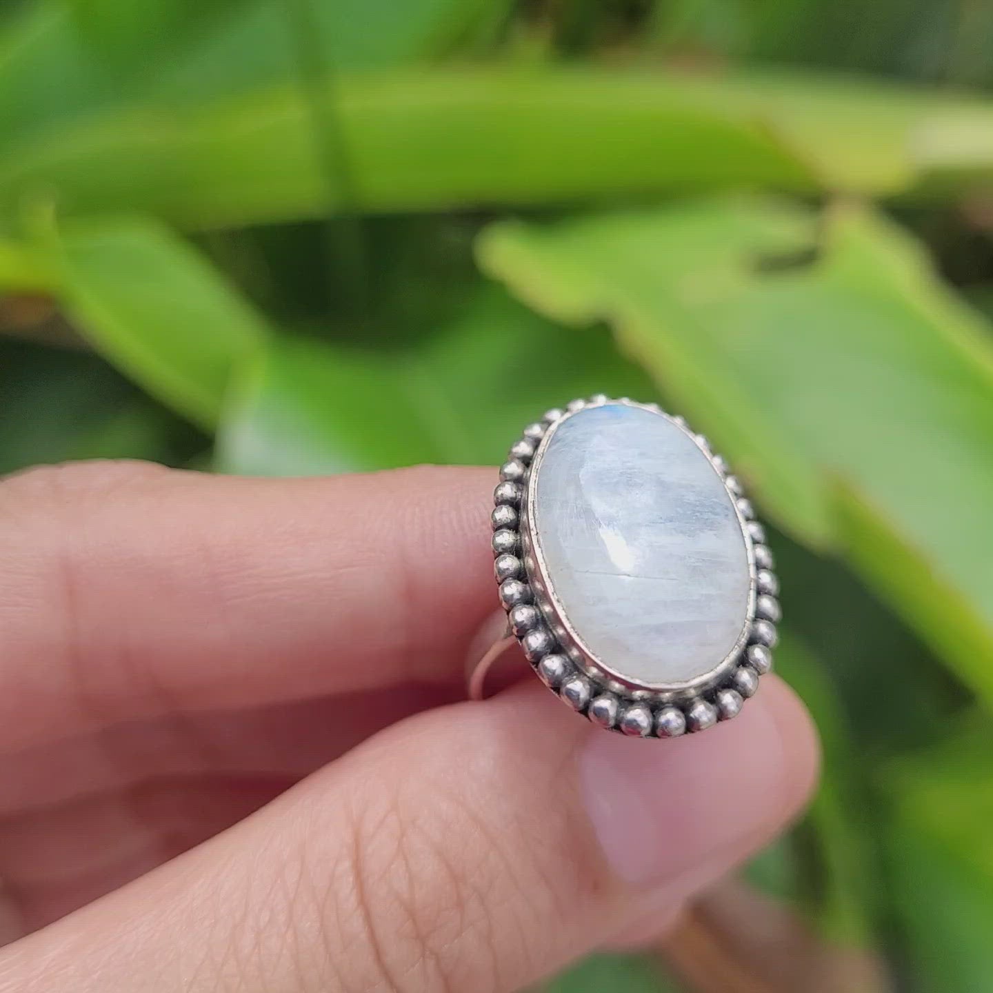 Sterling Silver 925 Statement Ring Moonstone MS04