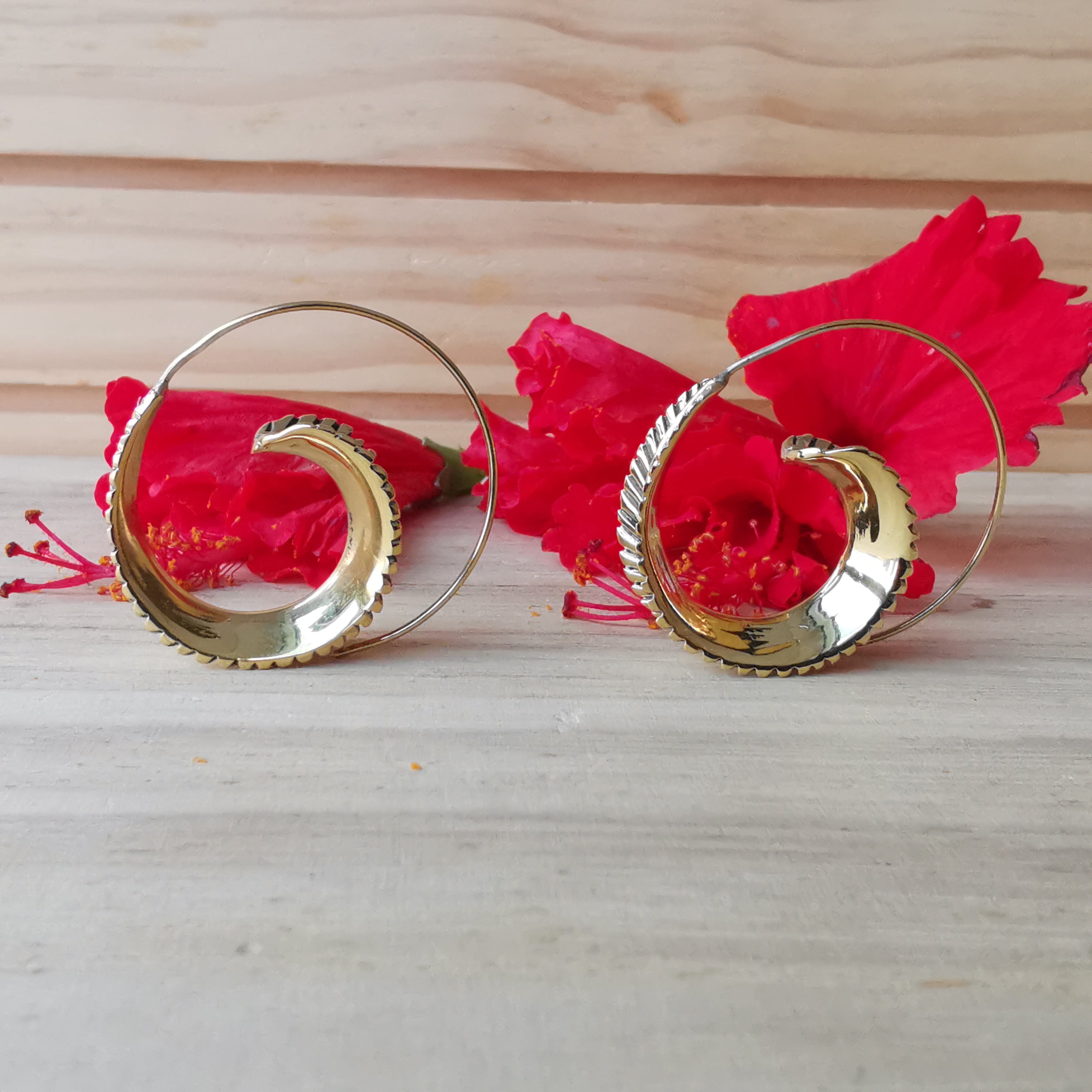 Premium Brass Earrings Helix