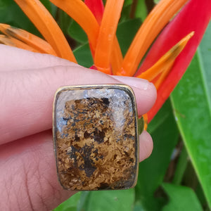 Premium Brass Statement Ring Bronzite