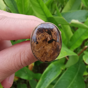 Premium Brass Statement Ring Bronzite