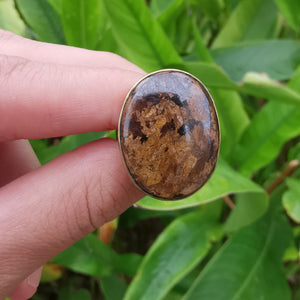Premium Brass Statement Ring Bronzite