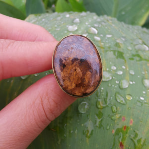 Premium Brass Statement Ring Bronzite