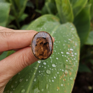 Premium Brass Statement Ring Bronzite