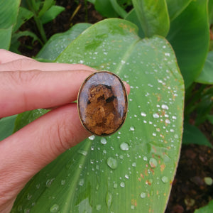 Premium Brass Statement Ring Bronzite