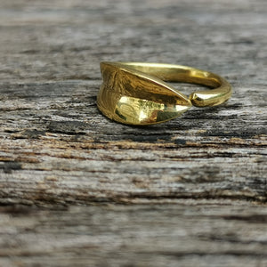 Premium Brass Ring Novus